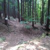 IMG-20220908-WA0005